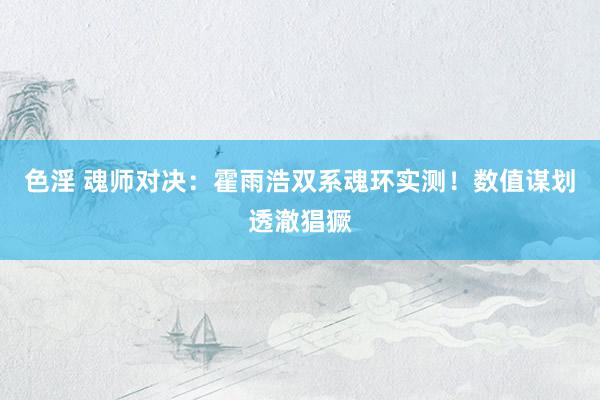 色淫 魂师对决：霍雨浩双系魂环实测！数值谋划透澈猖獗