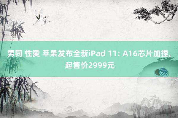 男同 性愛 苹果发布全新iPad 11: A16芯片加捏, 起售价2999元