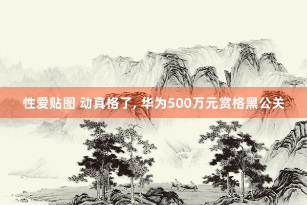 性爱贴图 动真格了, 华为500万元赏格黑公关
