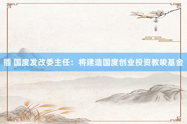 插 国度发改委主任：将建造国度创业投资教唆基金