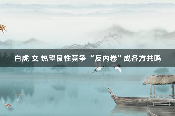 白虎 女 热望良性竞争 “反内卷”成各方共鸣