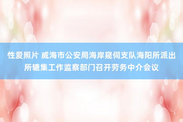 性爱照片 威海市公安局海岸窥伺支队海阳所派出所辘集工作监察部门召开劳务中介会议