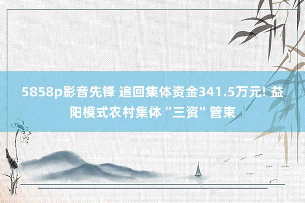 5858p影音先锋 追回集体资金341.5万元! 益阳模式农村集体“三资”管束