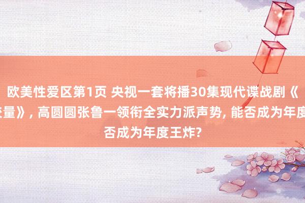 欧美性爱区第1页 央视一套将播30集现代谍战剧《绝密较量》, 高圆圆张鲁一领衔全实力派声势, 能否成为年度王炸?
