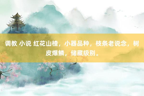 调教 小说 红花山楂，小器品种，枝条老说念，树皮爆鳞，储藏级别。