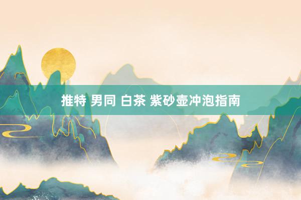 推特 男同 白茶 紫砂壶冲泡指南