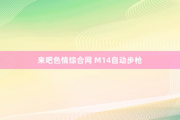 来吧色情综合网 M14自动步枪