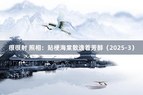 很很射 照相：贴梗海棠散逸着芳醇（2025-3）