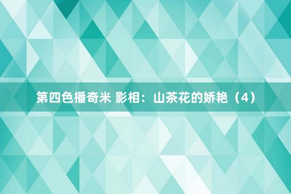 第四色播奇米 影相：山茶花的娇艳（4）