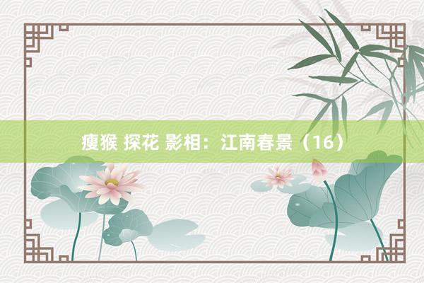 瘦猴 探花 影相：江南春景（16）