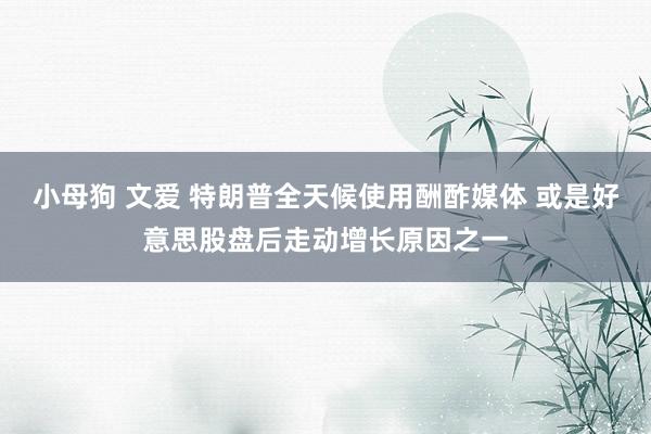 小母狗 文爱 特朗普全天候使用酬酢媒体 或是好意思股盘后走动增长原因之一